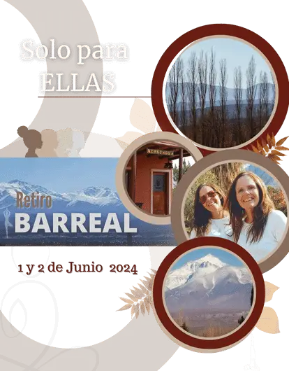 barreal san juan